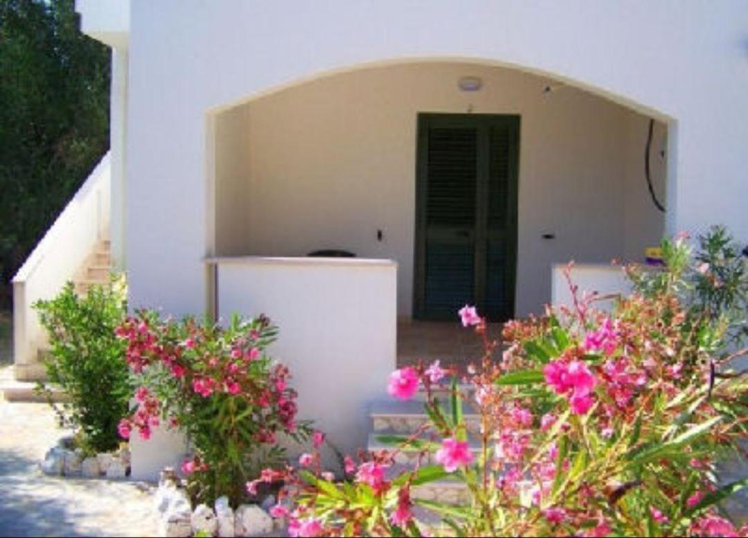 Villa Rinaldi Apartment Vieste Exteriér fotografie